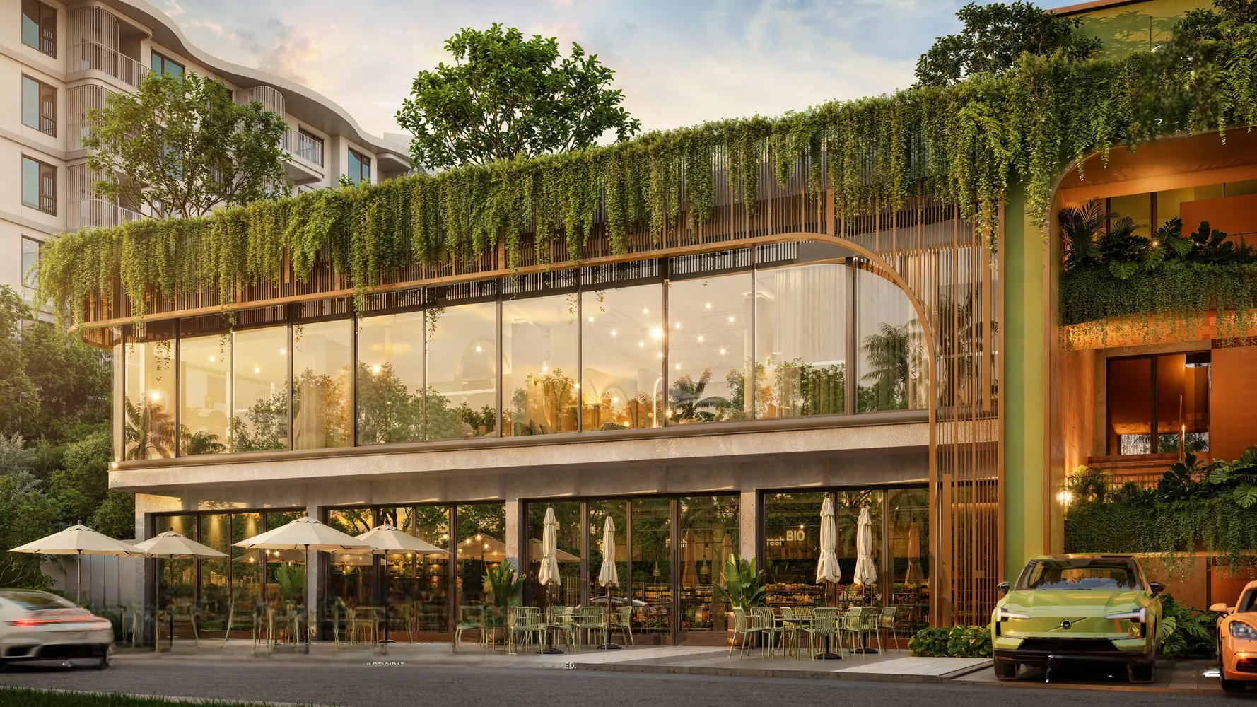 The Olive